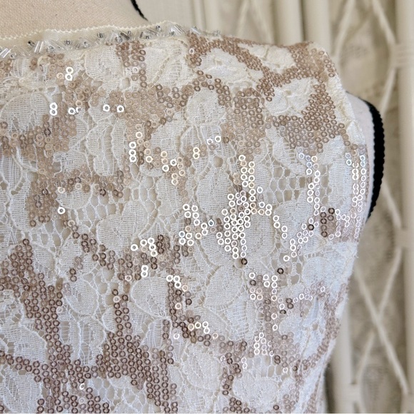 Anthropologie Top Meadow Rue Glimmer Lace Pleat Back Sequin Sleeveless Tank Med - Picture 9 of 16